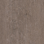 Grey Line Oak Wood
