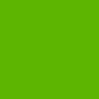 Lichen Green Transparent