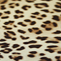 Leopard Textile Flex