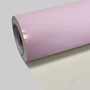 Pastel Pink (UK Only Colours) Gloss