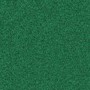 Glitter Green (Available till the end of stock)